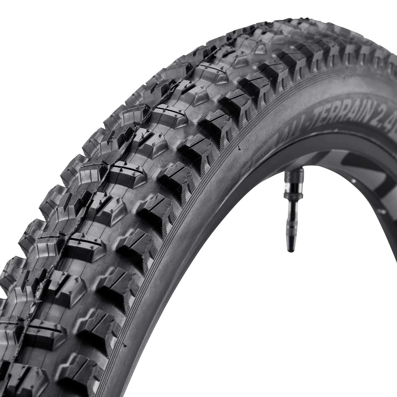 E Thirteen All Terrain 29" DH Tire
