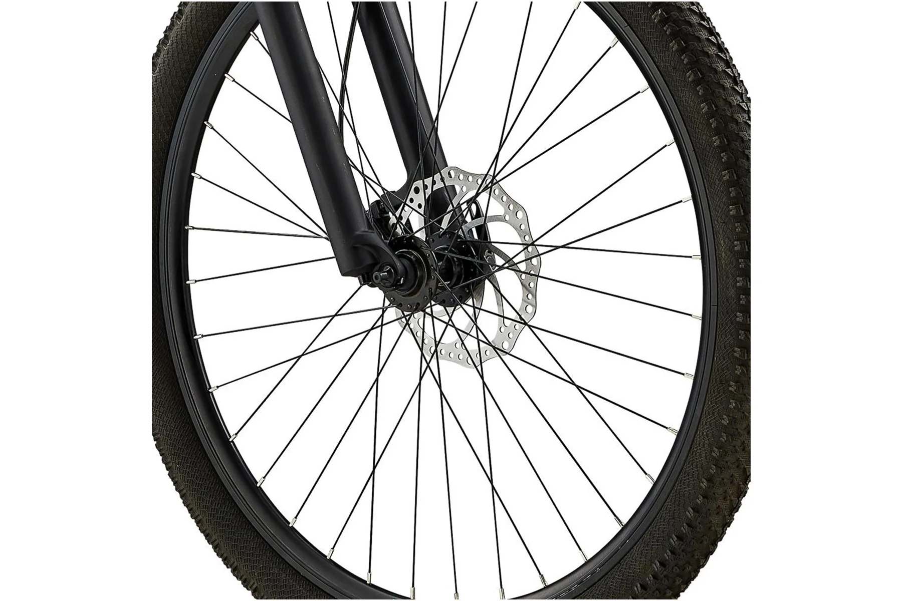 Eastern Alpaka 29 MTB Hardtail Bike - Black - Image 6