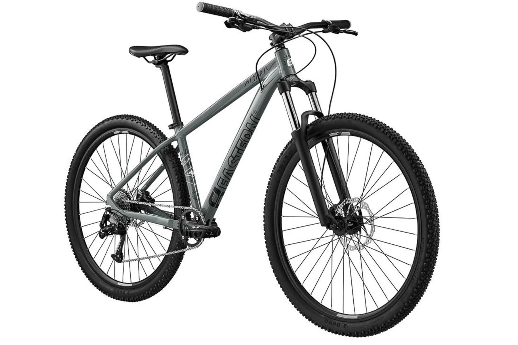 Eastern Alpaka 29 MTB Hardtail Bike - Gray - Image 3