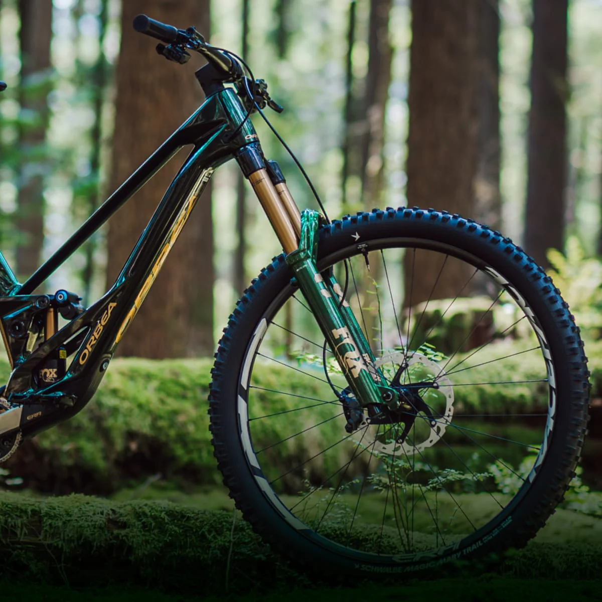 Fox Factory 38 Float 170 Factory 29 15QRx110mm - Racing Green Ltd Edition - Image 4