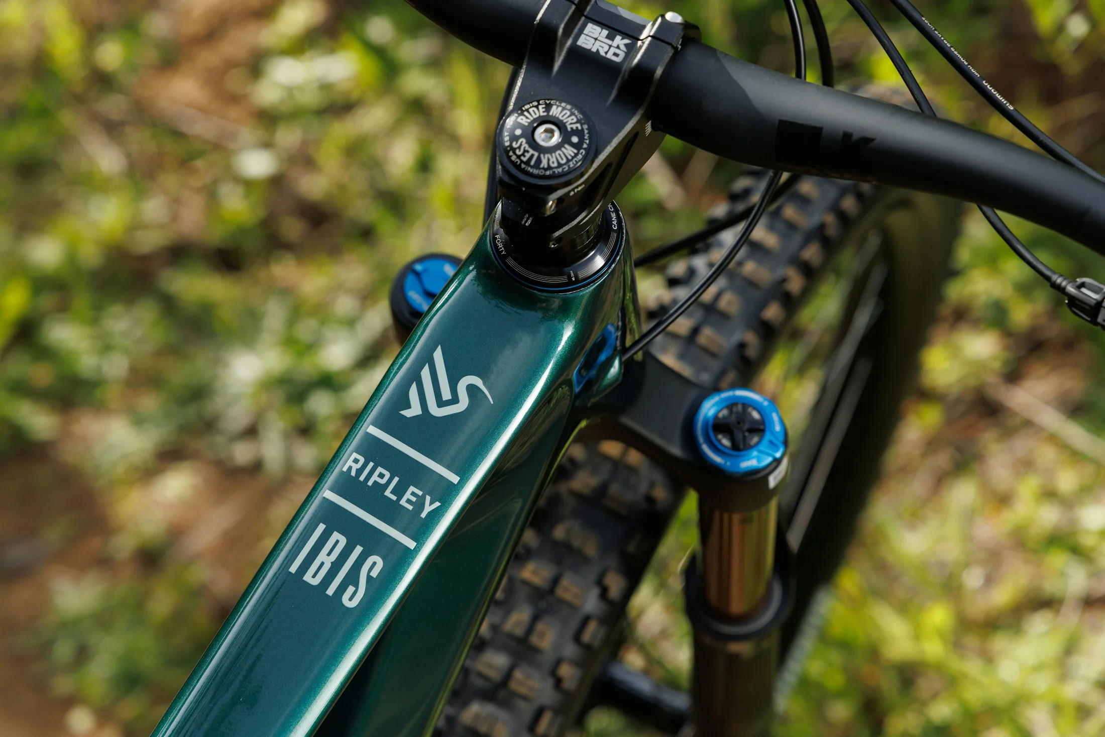 Ibis Ripley 29 - XT - Green Flash - 2025 - Image 2