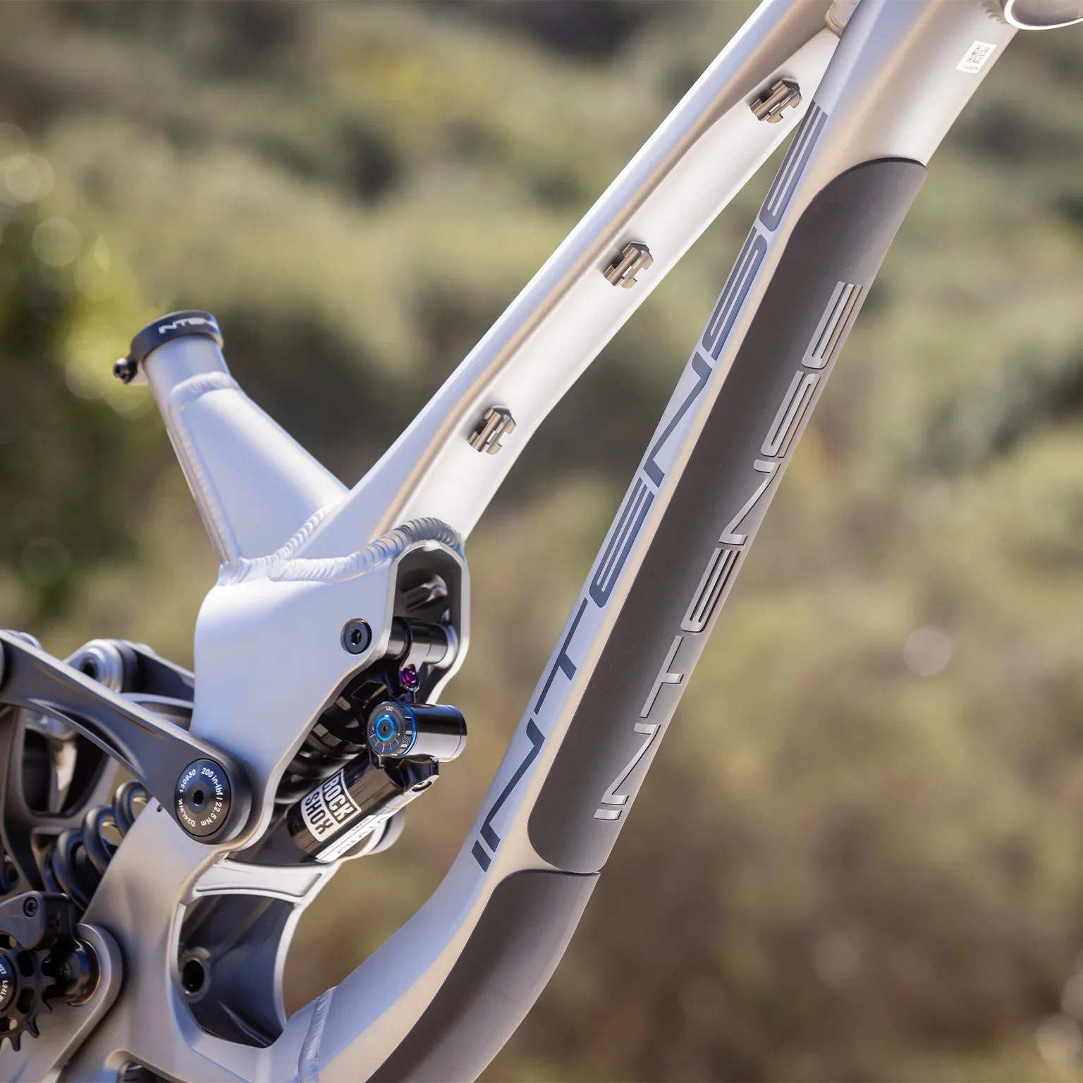 Intense M1 Frame + Shock - Titanium - 2026 - Image 2