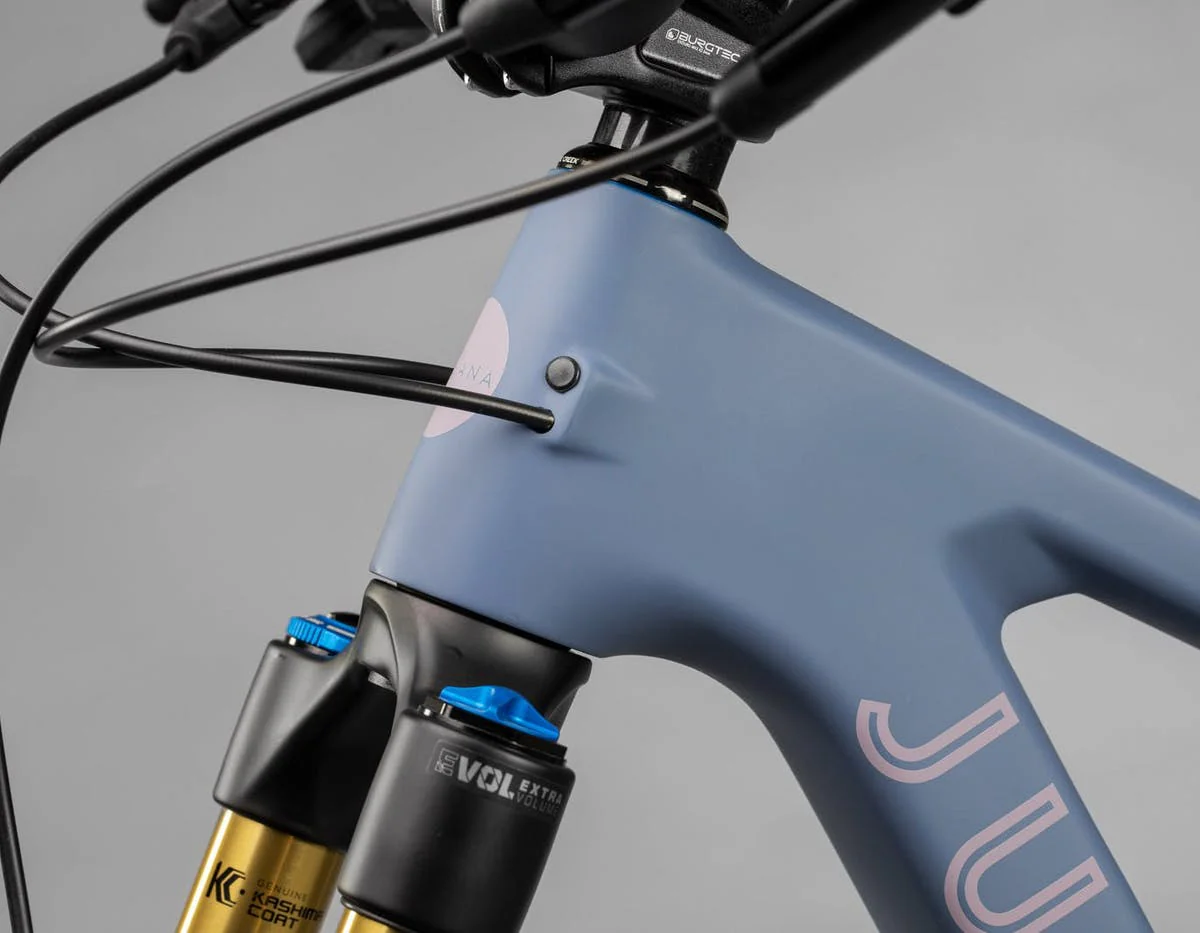 Juliana Roubion Carbon CC MX - X01 AXS Reserve - Blue - 2022 - Image 4