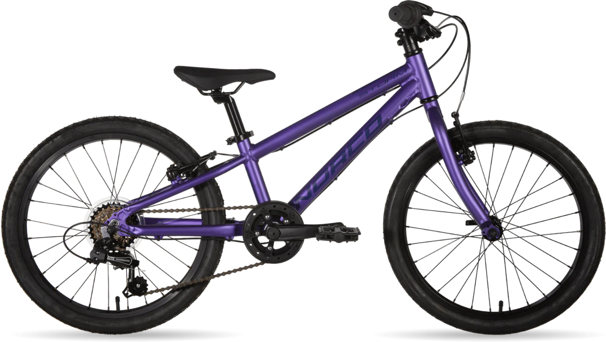Norco Storm 2.3 20 Kids Bike - Purple