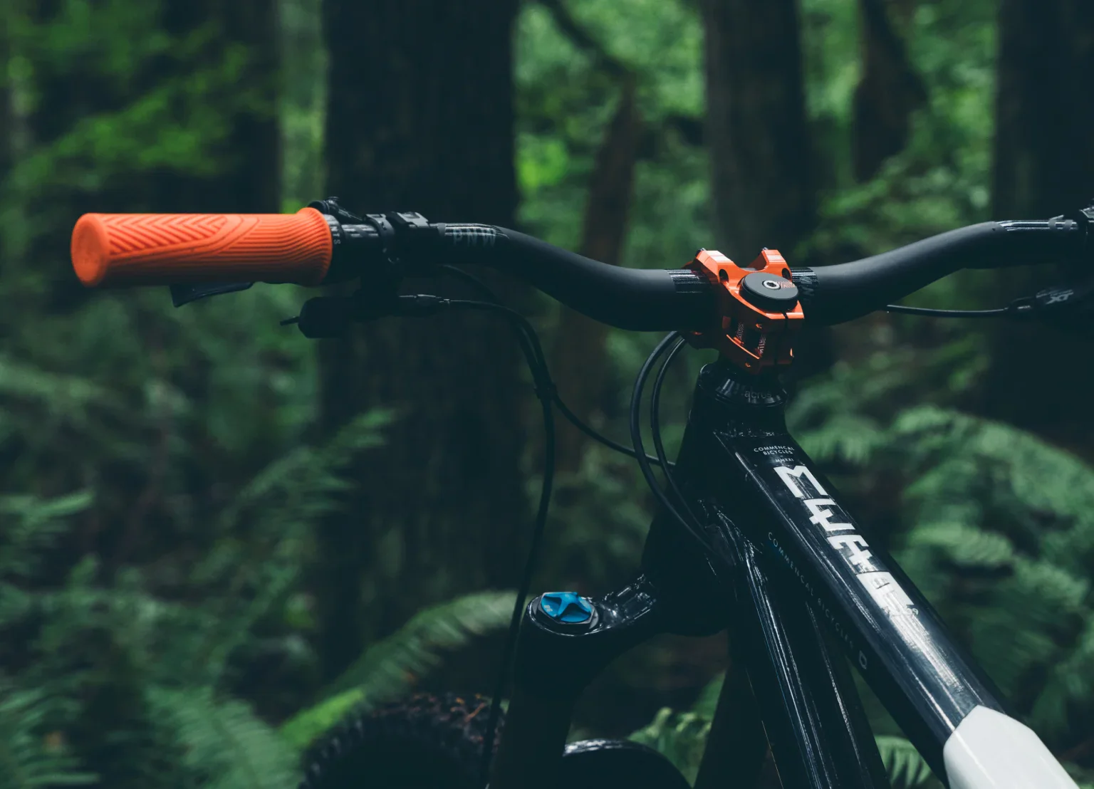 PNW Loam 31.8 MTB Stem - Blackout - Image 2