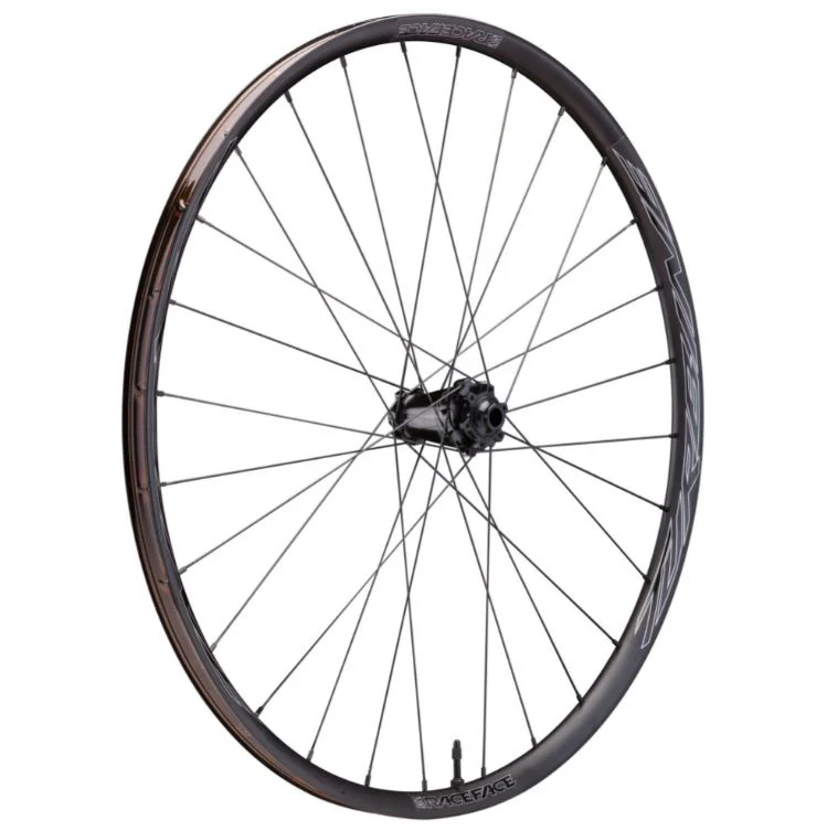 Race Face Turbine-SL 25 29" MTB Wheel - Front