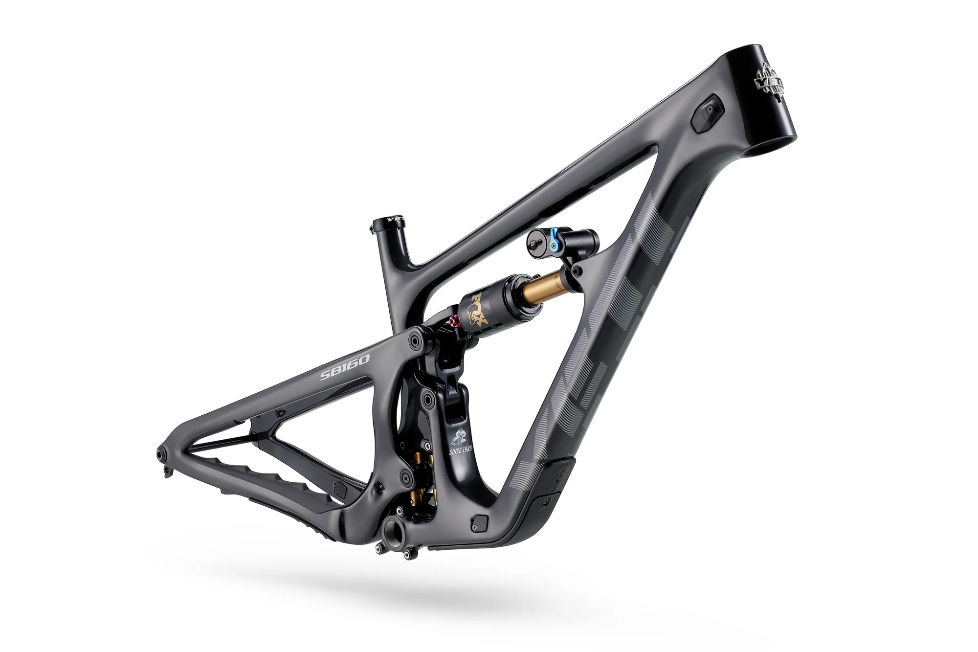 Yeti SB160 C3 29 - GX AXS - Fox Factory - Raw Carbon - Image 2